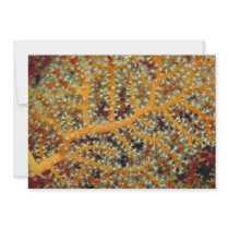 Gorgonian feeding in heavy currents custom invitations