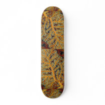Gorgonian feeding in heavy currents skate board decks