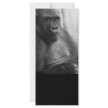 gorilla bookmark custom rack card