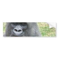 Gorilla Look Bumper Stickers