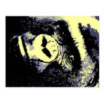 Gorilla Post Cards