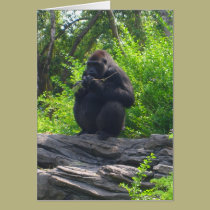 Gorilla Postcard cards