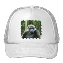 Gorilla Profile Baseball Hat
