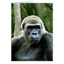 Gorilla Profile Greeting Card
