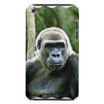 Gorilla Profile iTouch Case iPod Touch Cases