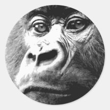 Gorilla Stickers