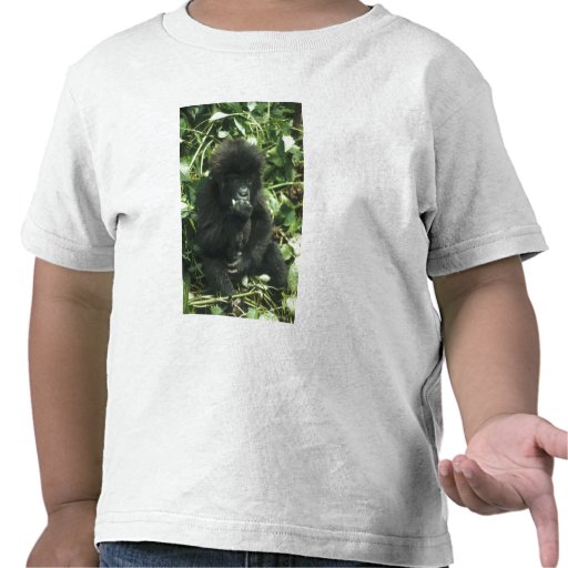 Gorille de montagne, (beringei de gorille de goril t-shirts