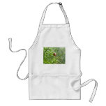 Gorse Beetle Apron