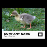 Gosling 02 business cards