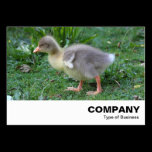 Gosling 02 business cards