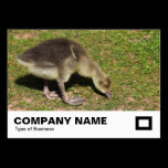 Gosling business cards