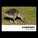 Gosling business cards