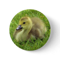 Gosling Button