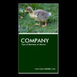 Gosling - Dark Green business cards