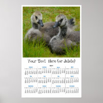 Goslings in the Grass 2011 yearly wall  calendar