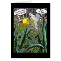 Gossiping Daffies Friendship Greeting Card