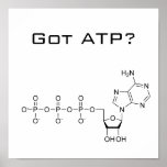 Got ATP? Poster posters