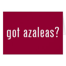 got azalea? cards