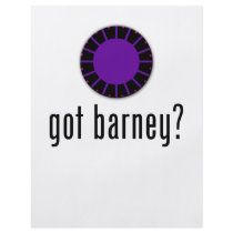 got barney? flyer