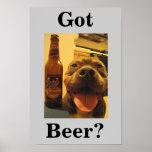 Got Beer? Posters
