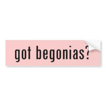 got begonias?