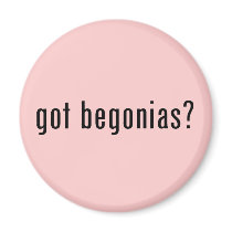 got begonias?