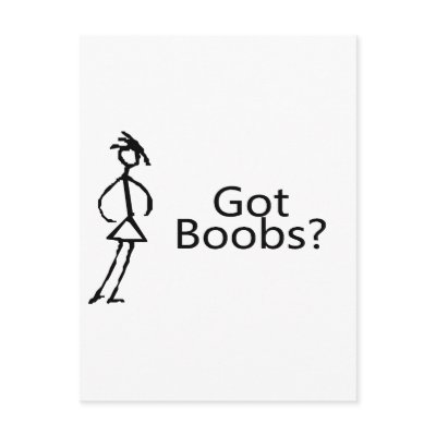 Got Boobs (Stick Girl) by TorrDenaIndians