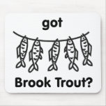 got brook trout mousepads