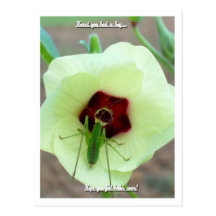Got Bug! Postcard