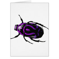 Got Bugs-Wild Coloured Beetle