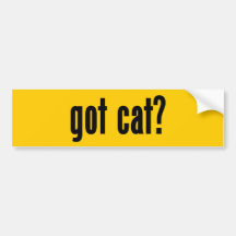 got cat? bumper stickers