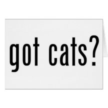 got cats? cards