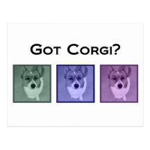 Got Corgi? Post Card