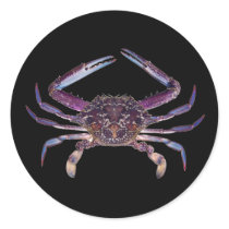 Got Crabs? nice sea crab-dinner time