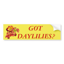 Got Daylilies? Bumper Sticker