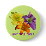 GOT DAYLILIES? BUTTON