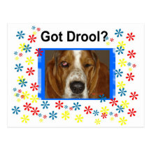Got Drool Post Card