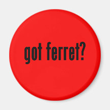 got ferret? magnets