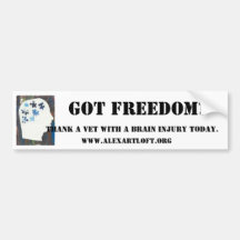 Got Freedom Bumper Sticker for Vets