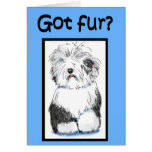 Got Fur Funny Vet Pet Haircut Pamper Business Card