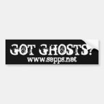 GOT GHOSTS?, www.sepps.net Bumper Sticker
