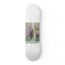 GOT HATCH??? SKATE BOARDS