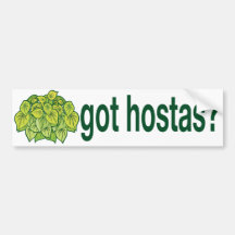 got hostas? bumper sticker