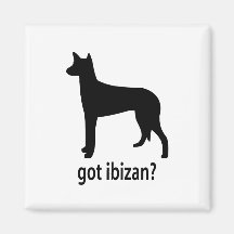 Got Ibizan Hound Magnet