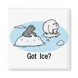 Got Ice? magnet