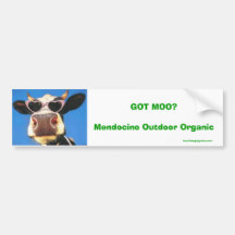 GOT MOO? Mendocino Outdoor Organic Bumper Sticker