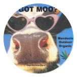 GOT MOO POT STICKER