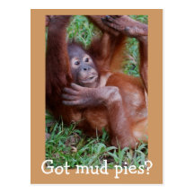 Got mud pies? postcard