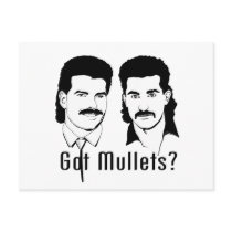 Got Mullets?
