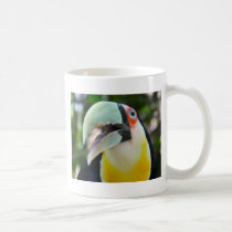 Got my eye on you mugs